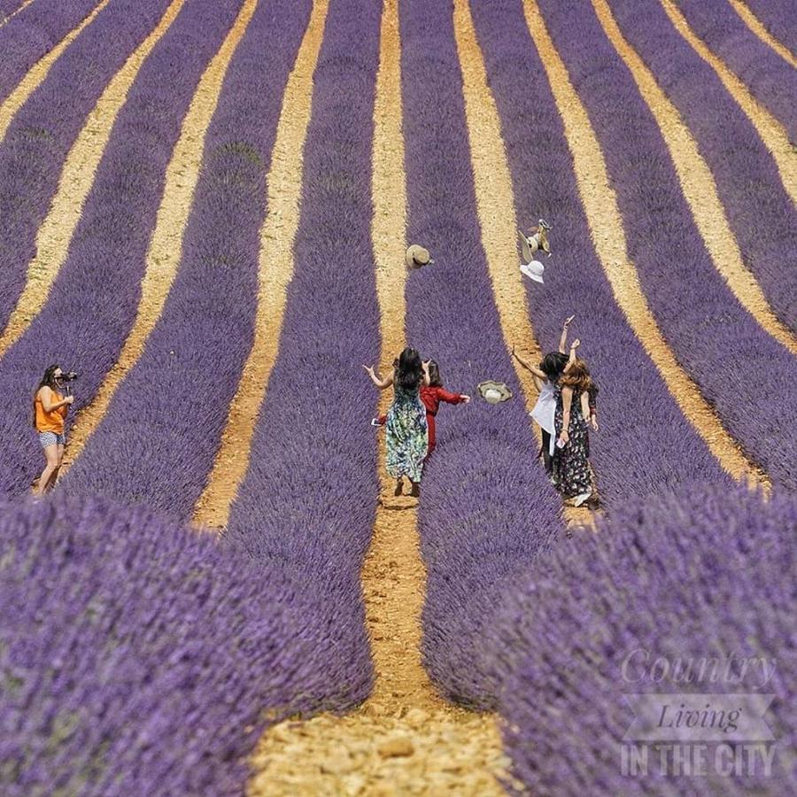 Au Paradis Des Grillons Espinasses Exterior foto